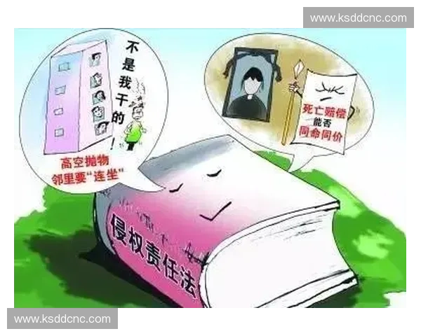 体育侵权责任认定与风险防控的法律逻辑与实践路径研究分析探讨