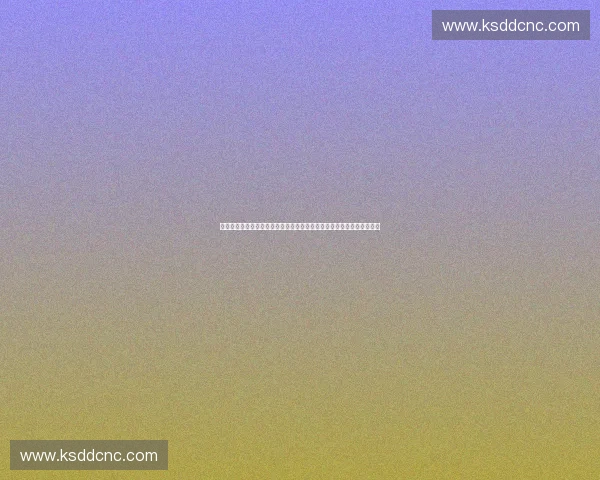 赛事主办方引领创新融合打造全民参与的高品质体育盛会新格局发展蓝图