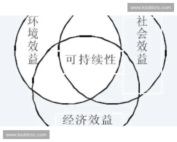 构建以体育生态系统为核心的可持续发展模式与创新路径探析